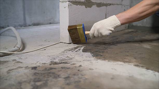 SJ Waterproofing Pros Exterior Waterproofing coverage map for Monroe, MI and surrounding area